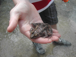Austin caught a frog at the nature preserve