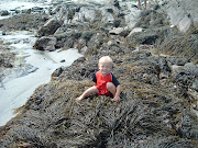 Chillin' on a Mountain of Seaweed