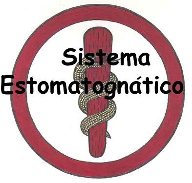 Sistema estomatognatico