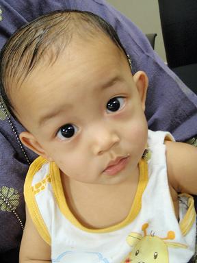 [zPB070119ansar.JPG]