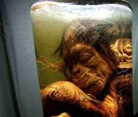 pedro the pickled monkey