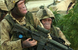Monos? 6 cosas que no sabias de los monos