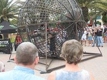The sphere