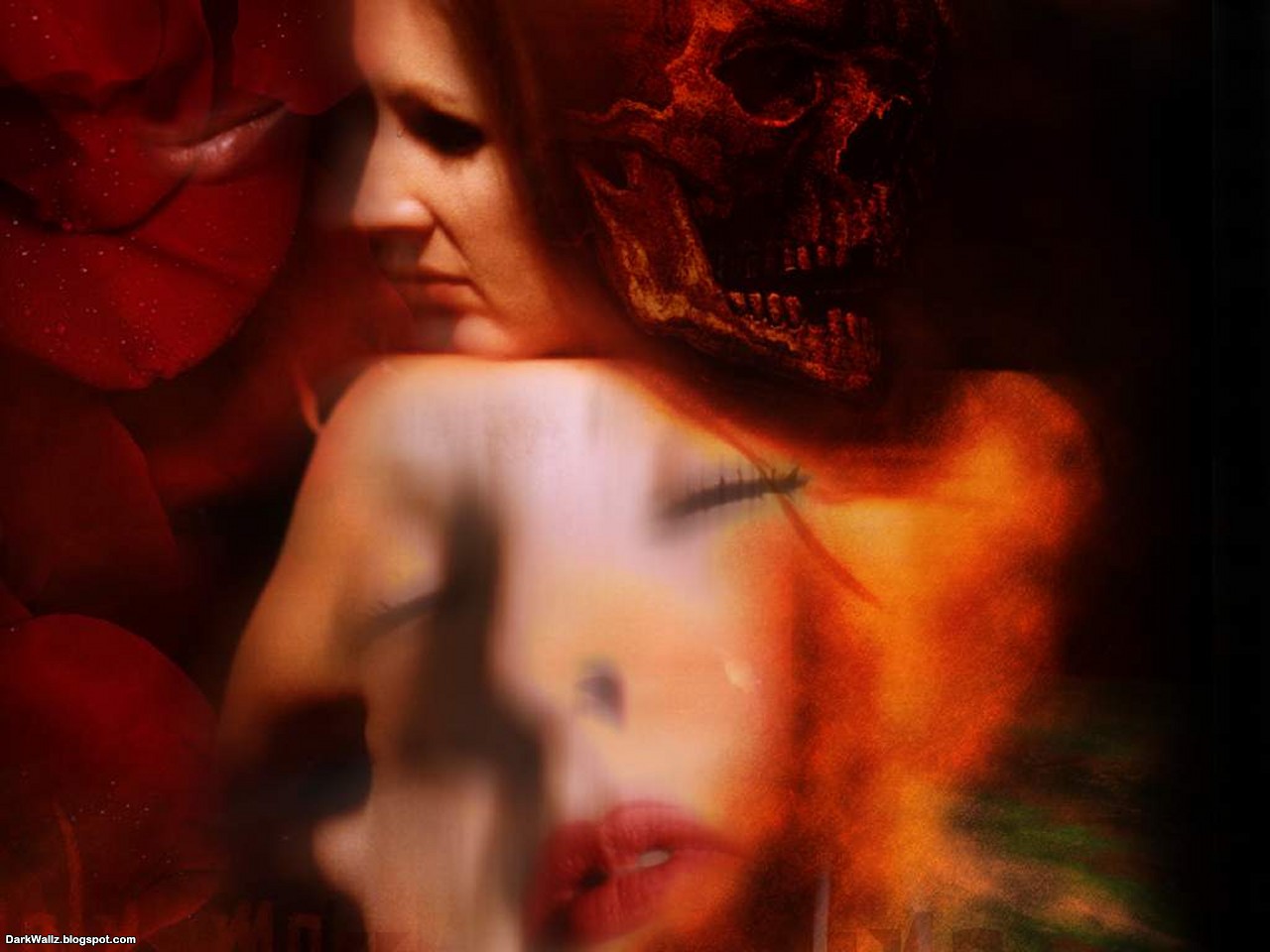 Fever | Dark Wallpaper Download