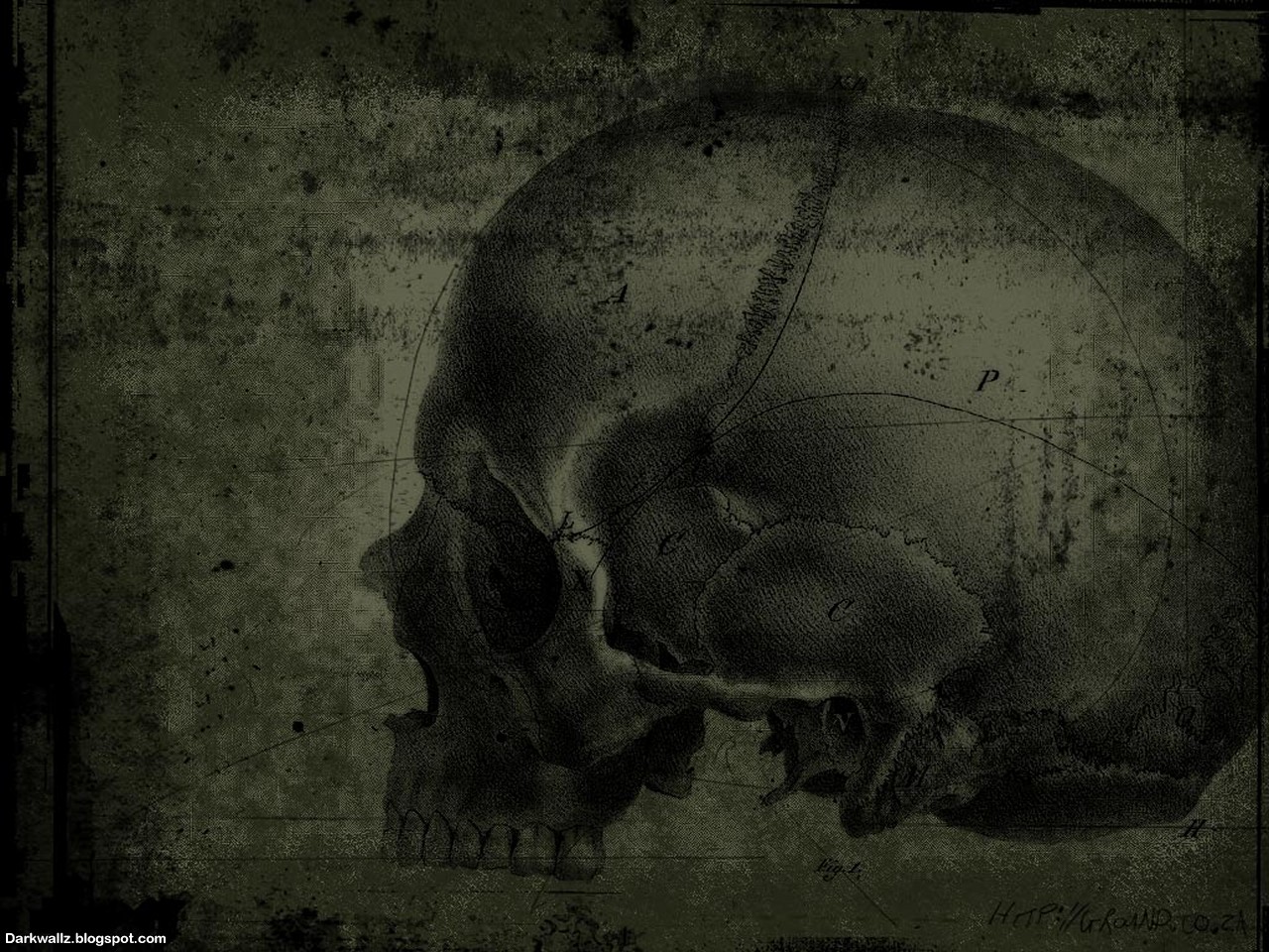 Skulls Wallpapers 43 | Dark Wallpaper Download