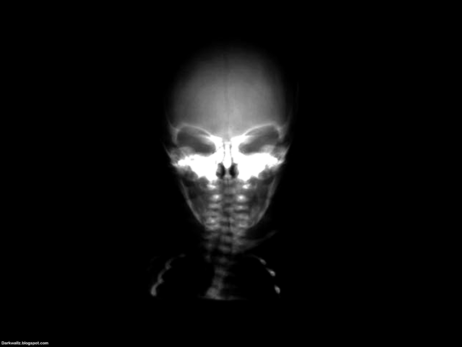 Skulls Wallpapers 41 | Dark Wallpaper Download