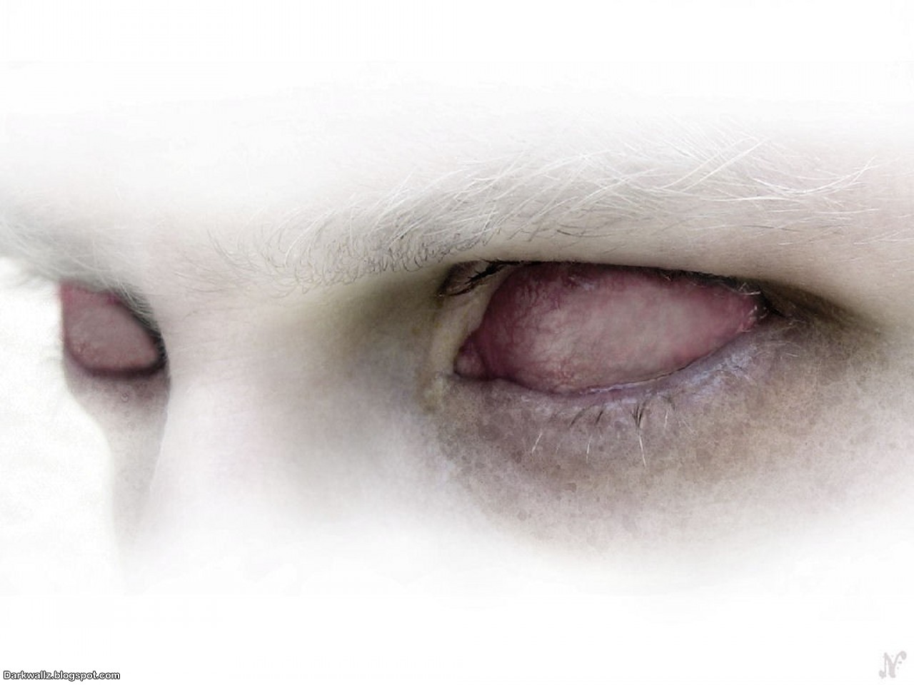 Scary Eyes Wallpapers 08 | Dark Wallpaper Download