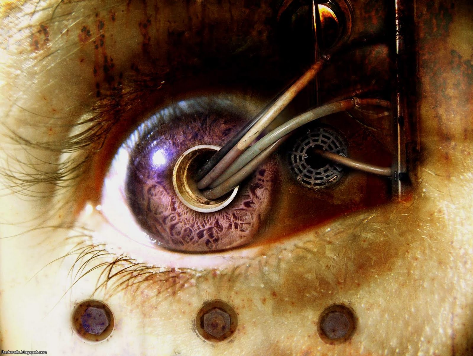 creepy eyeballs creepy eyeballs