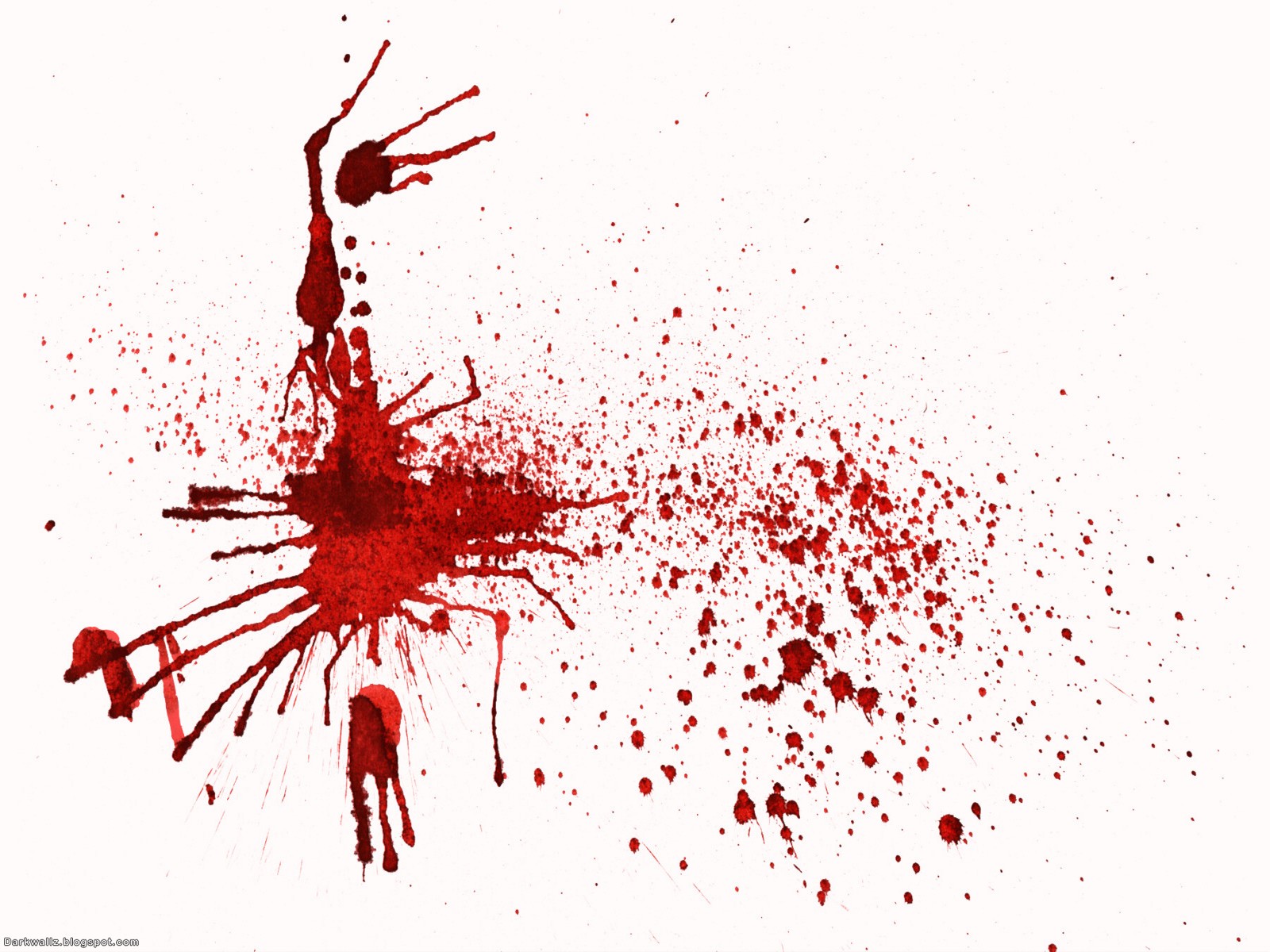 Blood Donation Wallpaper