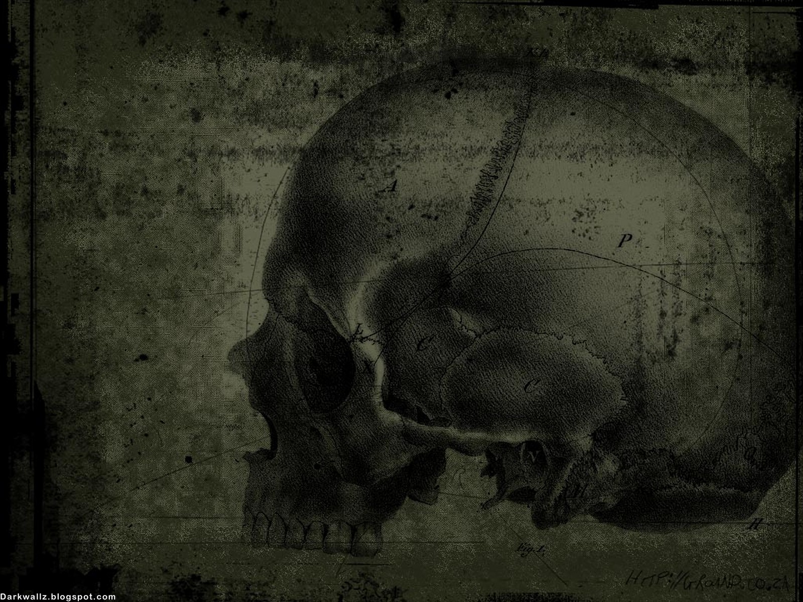 Dark Skulls Wallpapers 96 | Dark Wallpaper Download