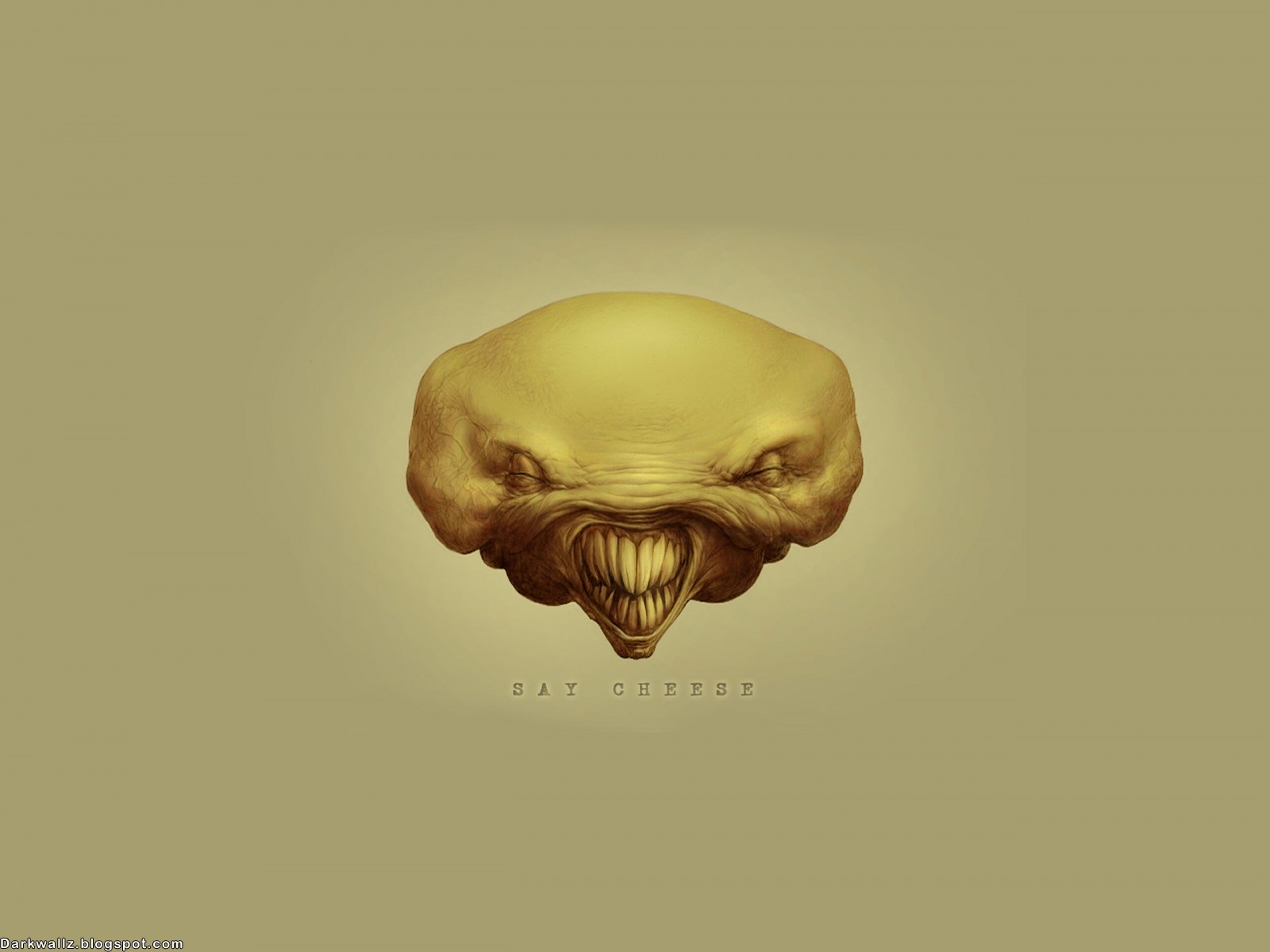 Dark Skulls Wallpapers 105 | Dark Wallpaper Download