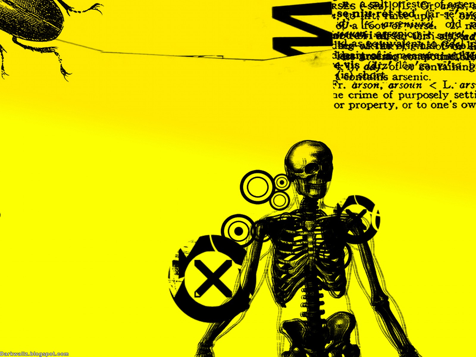 Dark Skulls Wallpapers 107 | Dark Wallpaper Download