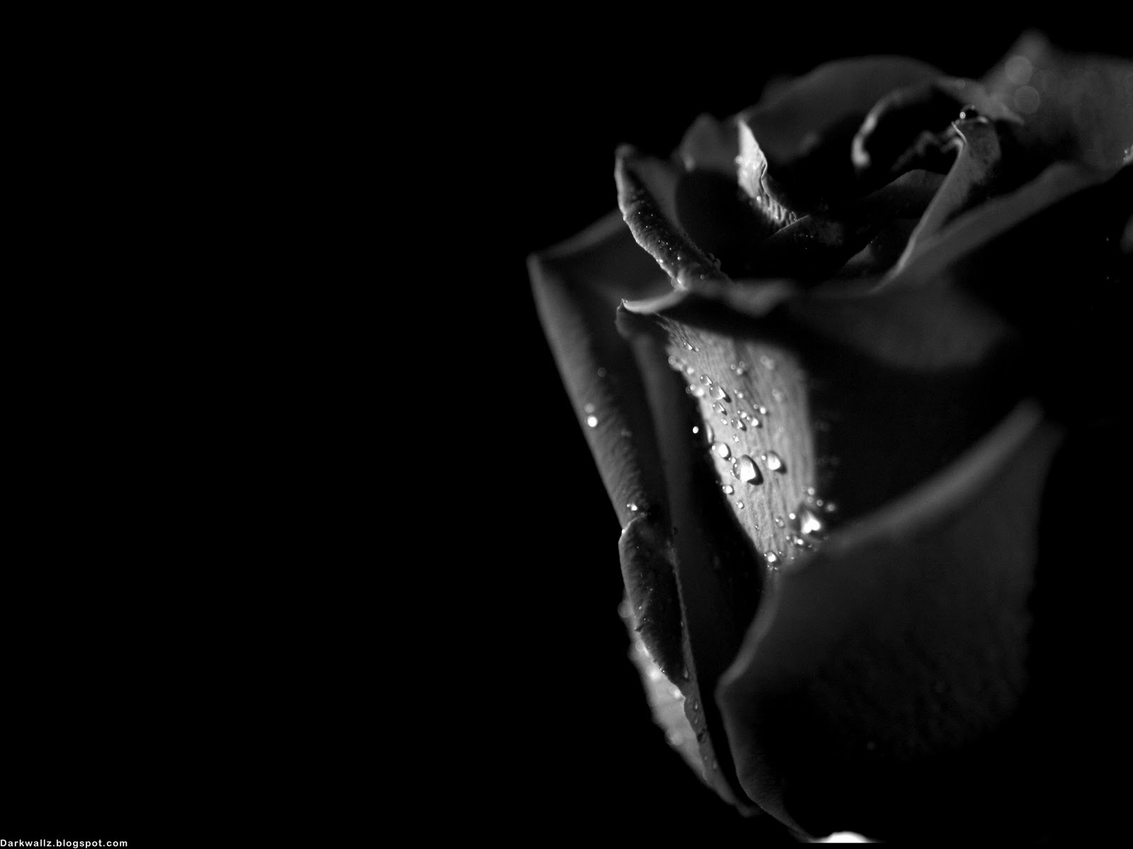 Dark Widescreen Wallpapers 35| Dark Wallpaper Download