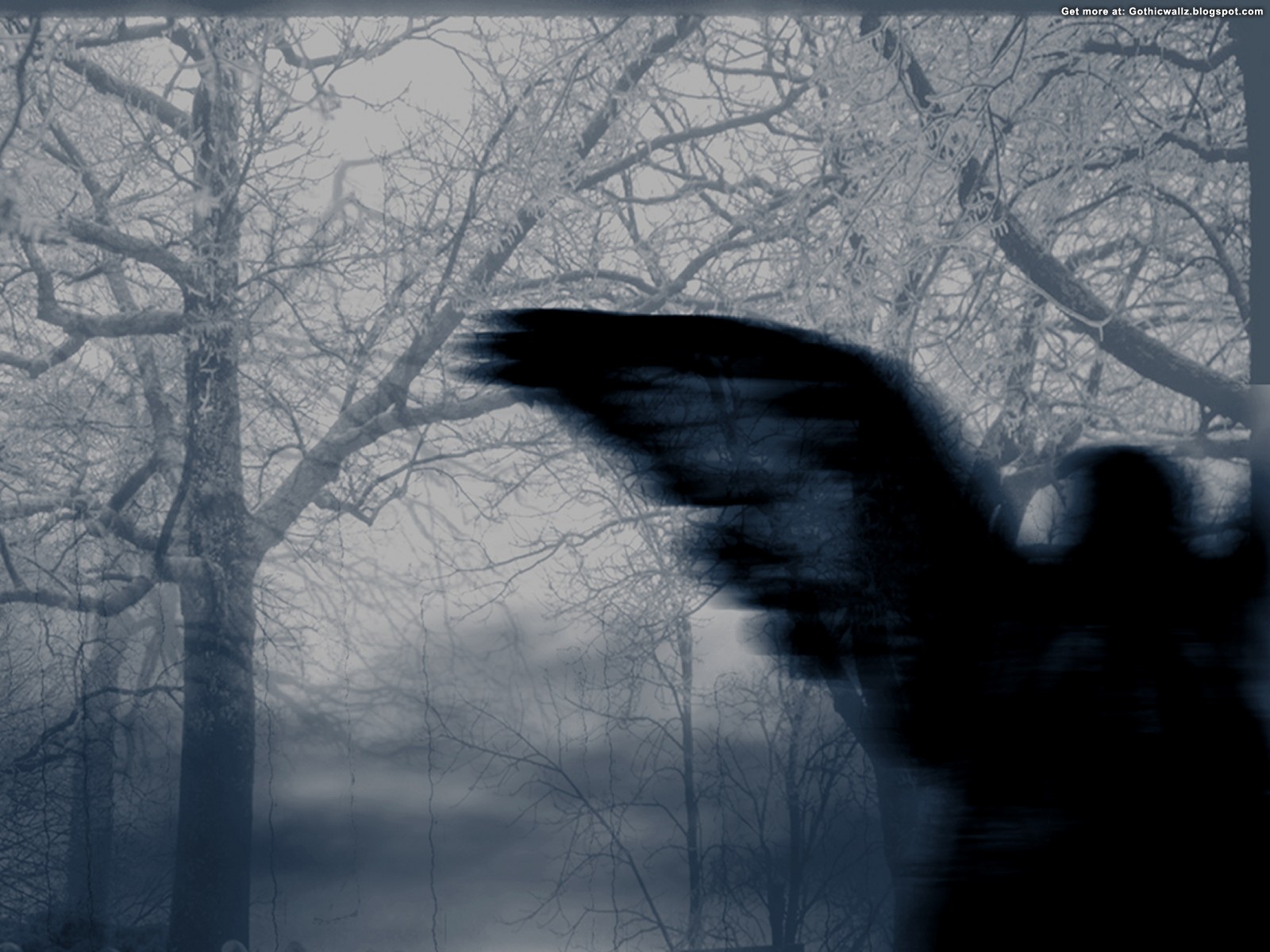 Divine Darkness | Gothic Wallpaper Download
