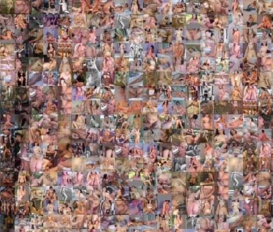 [rashid_rana_veil3_detail1.jpg]