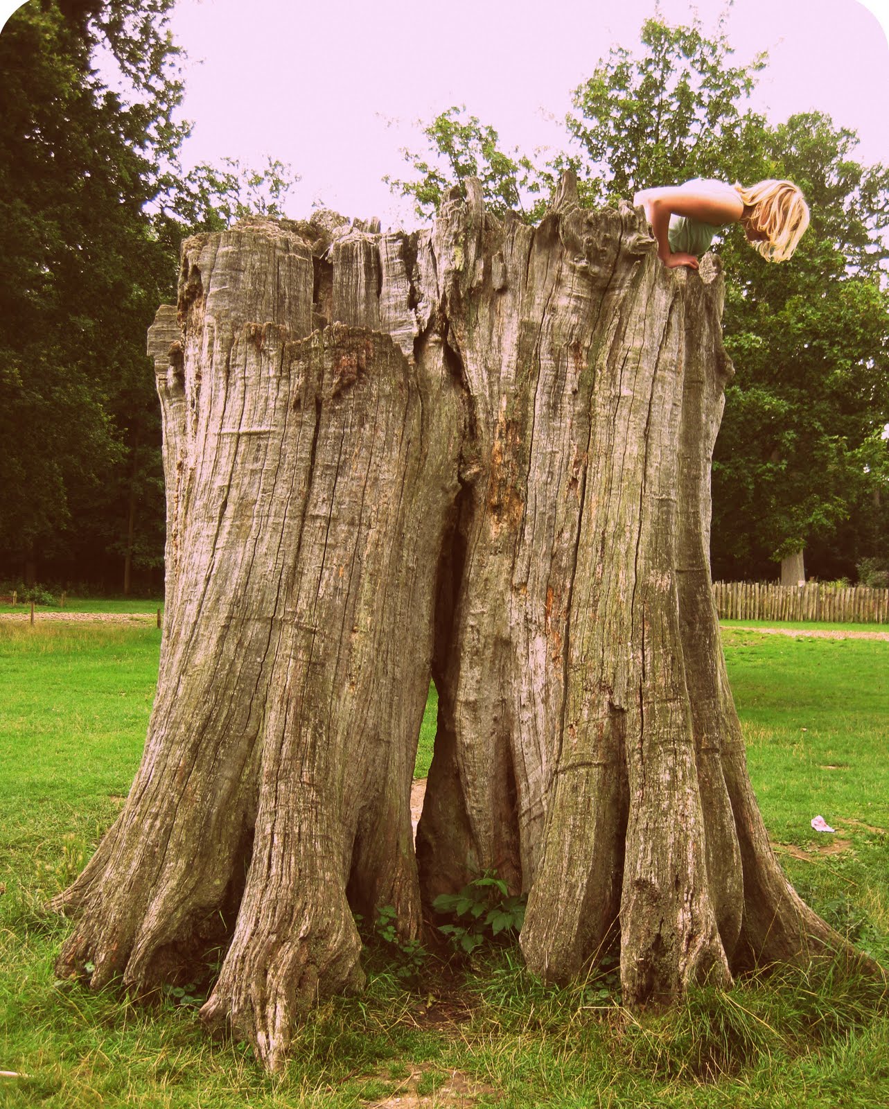 sewhungryhippie Self Recovery Recipe Minty Sea Salt Body Scrub