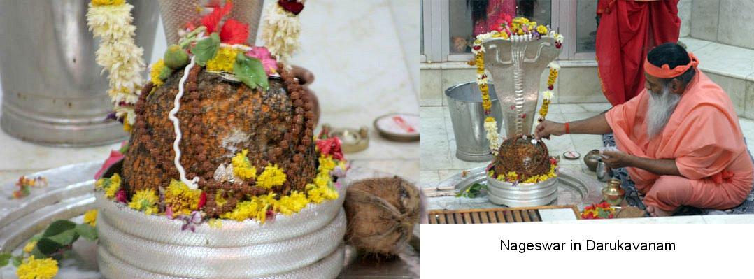 [nageshwar.jpg]