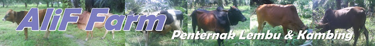 Jualan Lembu & Kambing