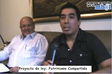 Proyecto de ley: Patrimonio Compartido