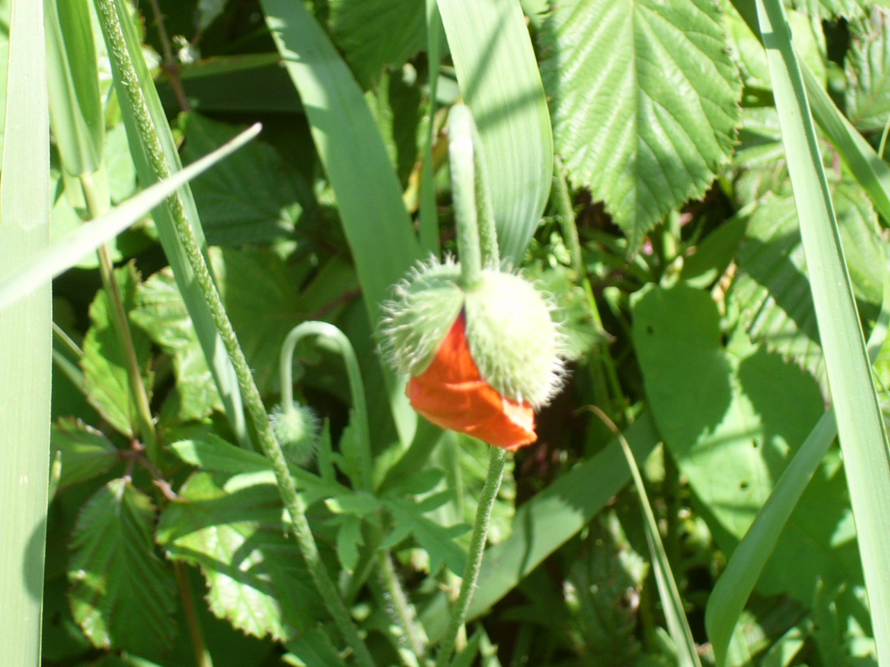 [P1050209.JPG]