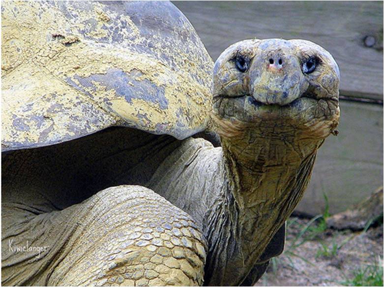 If you could remove one member of Congress The Round Up