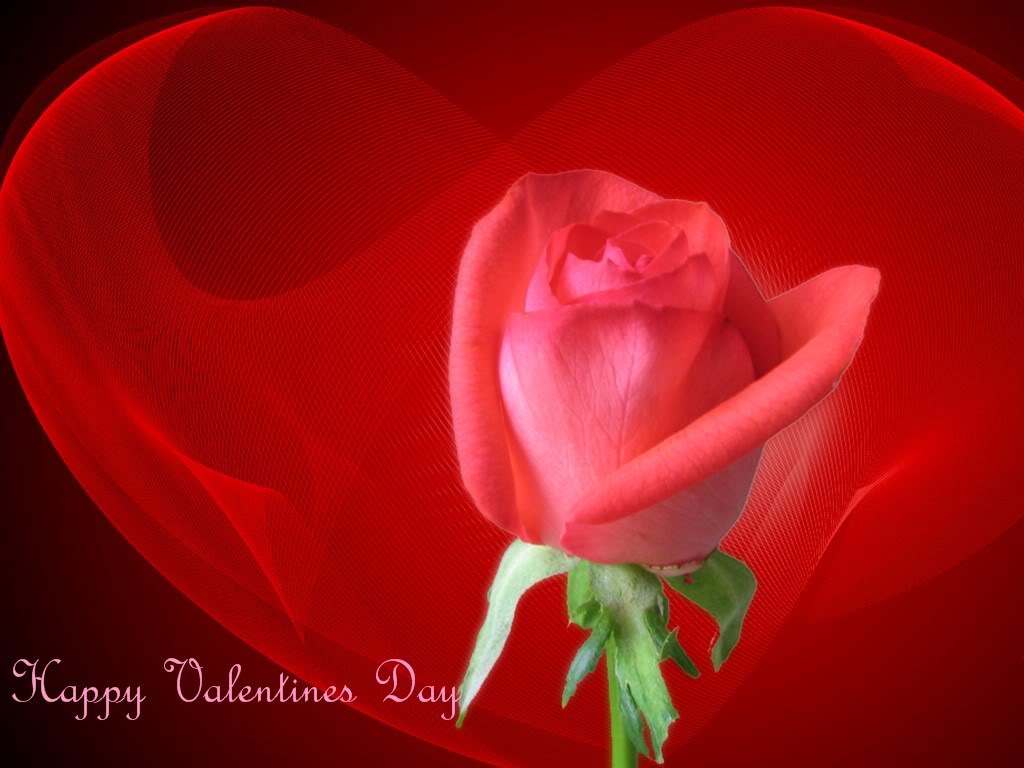 http://4.bp.blogspot.com/_-mY2ck9YCeE/TQwRtYh2DNI/AAAAAAAACNM/gSrJgf-Yrxg/s1600/1264470178_1024x768_happy-valentines-day-wallpaper-free-download.jpg