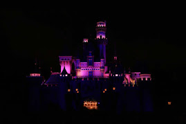 Disney Land in LA..*