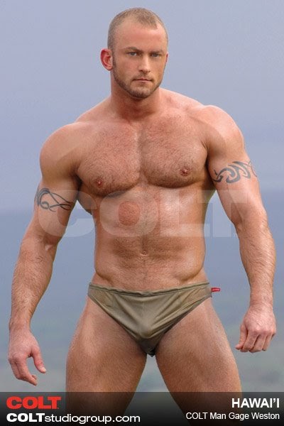 taylor rain facial weston james gay porn