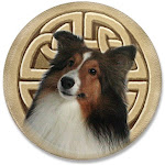 Another great Sheltie Shop!