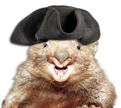 wombat-pirate-white.jpg