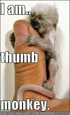 Monkey On Thumb