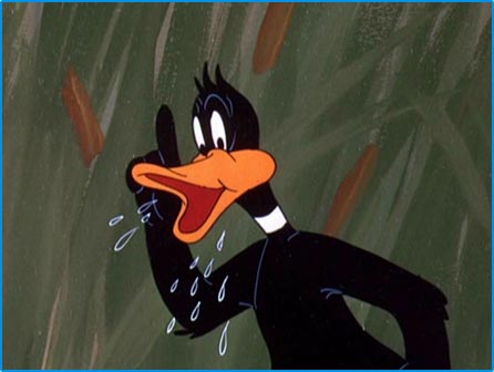 daffy duck daffy duck
