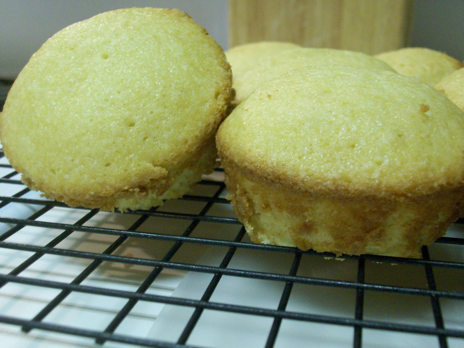 Pretend Chef January 2011