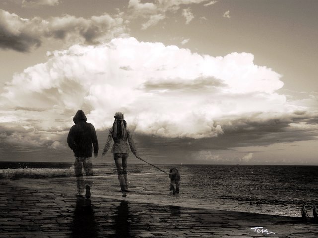 [paseando+al+perro+1-1.jpg]