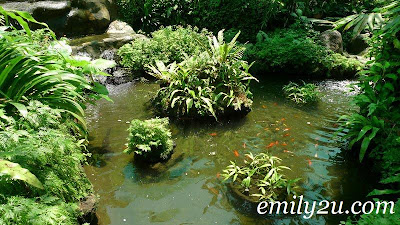 Kuala Lumpur Butterfly Park