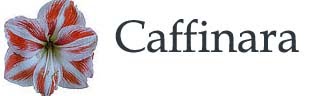 Caffinara Wake Up To Life
