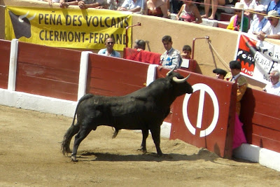 Novillo de Zaballos en Céret '2007