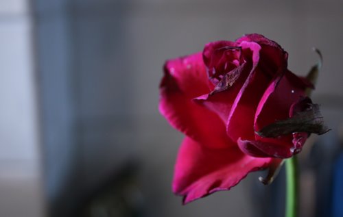 [IMG_2740.jpg]