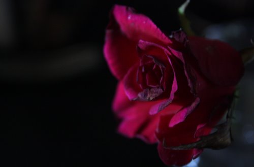 [IMG_2752.jpg]