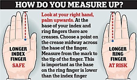 Index Finger Shorter Then Ring Index Finger Shorter Then Ring