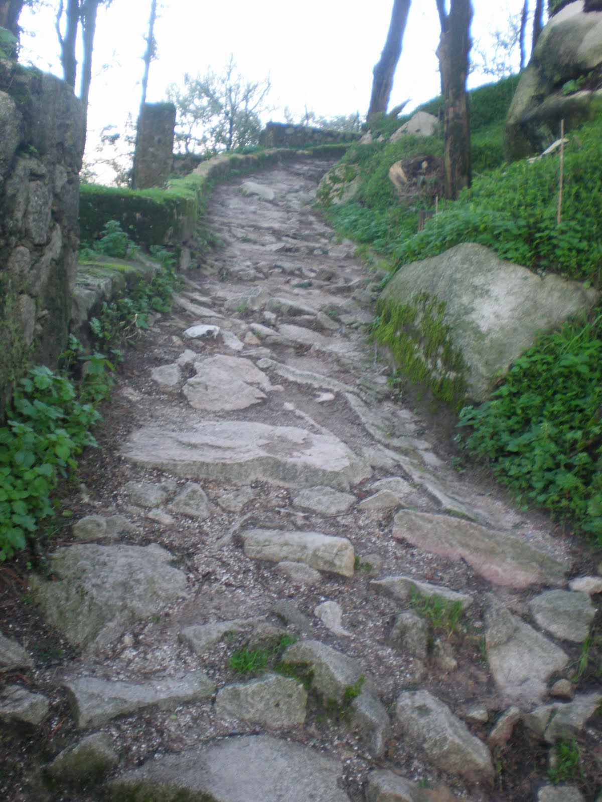 [P1190132.JPG]