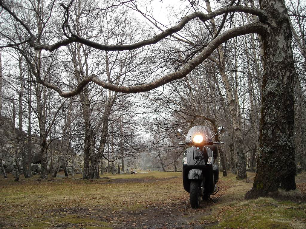 [DSCN3367.JPG]