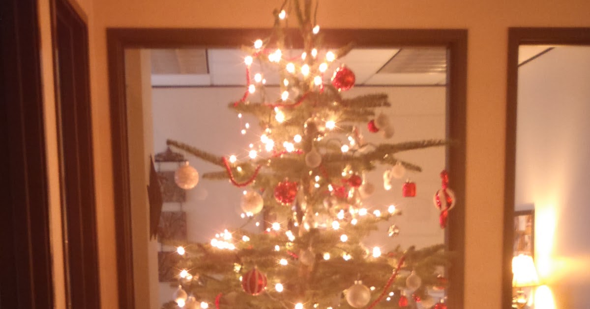 Credit Card Queens Christmas Tree Decorating Party