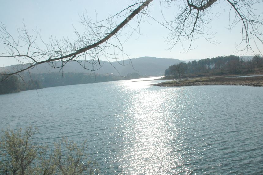 [DSC_7880.JPG]