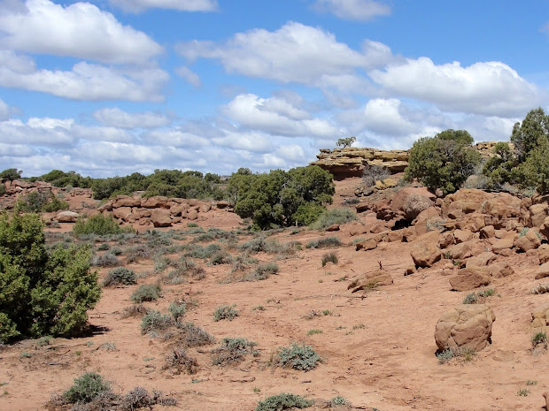 janie and steve utah trails desert