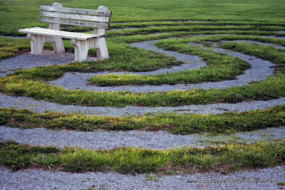 Wooden Bench surrounded by a spiraling path.
