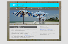 IBS flash website