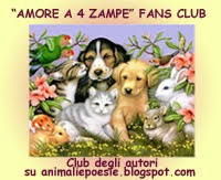 ... AMORE A 4 ZAMPE ...