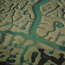 [doñana+fractal.jpg]