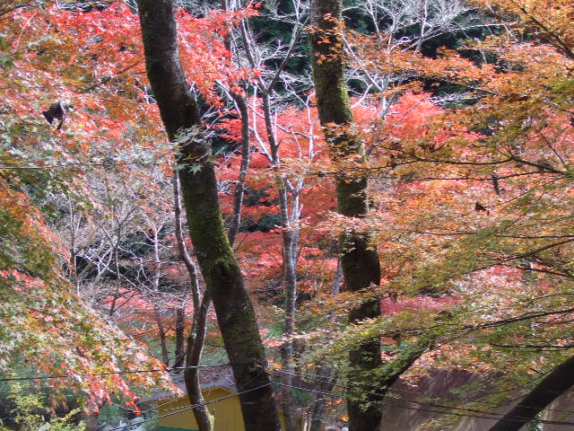[DSCF0624.JPG]